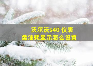 沃尔沃s40 仪表盘油耗显示怎么设置